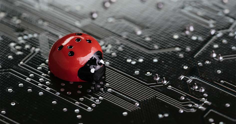 Event Bug Hunt KINGDOM77